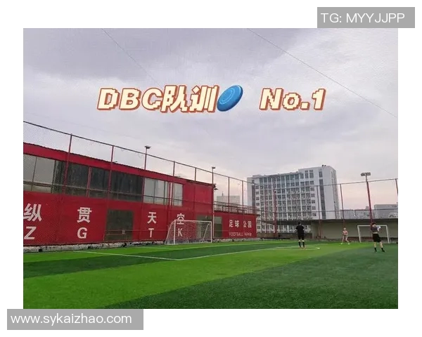 南京飞盘队区域防守战术解析与实战应用探讨