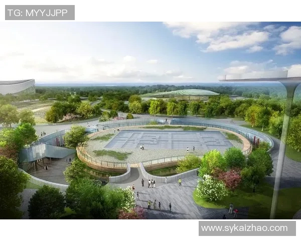 体育场建设与城市发展关系探析:提升公共空间功能与文化交流作用